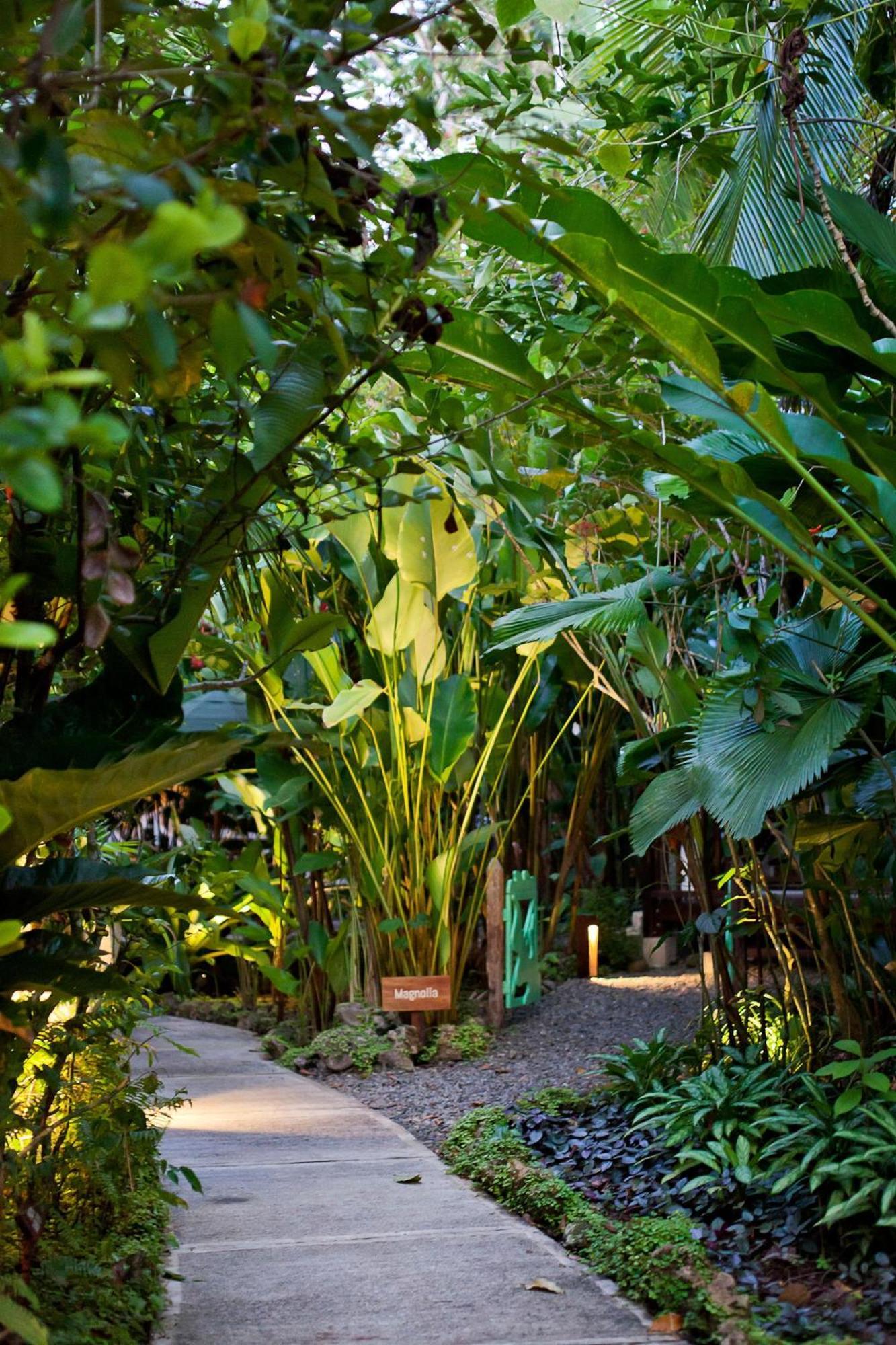Hotel Aguas Claras Member Of The Cayuga Collection Puerto Viejo de Talamanca Extérieur photo